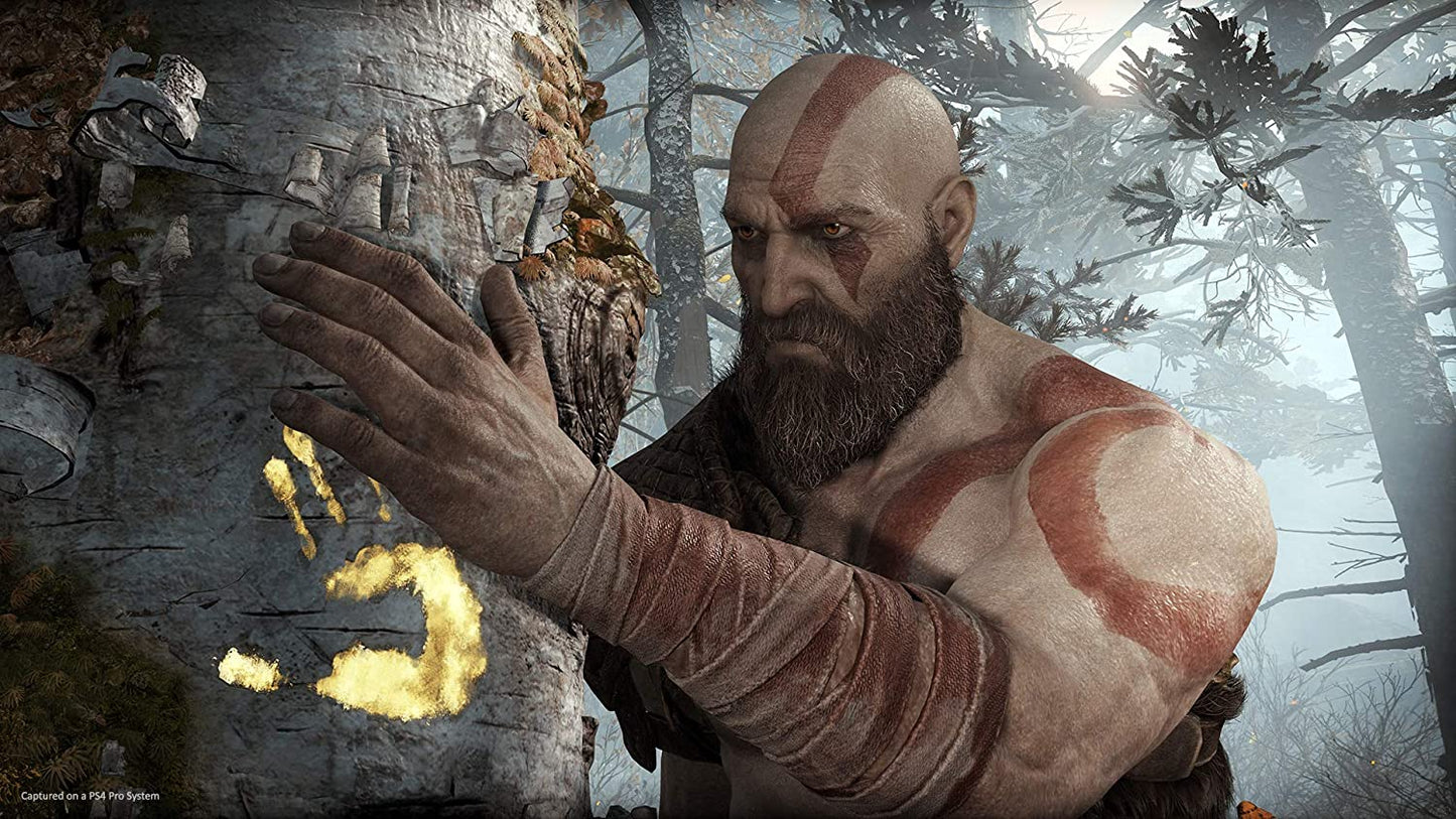 PS4 - God Of War - PlayStation 4