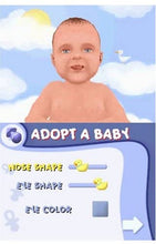 Load image into Gallery viewer, Baby Pals - Nintendo DS
