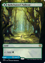 Load image into Gallery viewer, Magic the Gathering - Barkchannel Pathway / Tidechannel Pathway (Borderless) - Kaldheim (FOIL)
