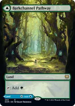 Magic the Gathering - Barkchannel Pathway / Tidechannel Pathway (Borderless) - Kaldheim (FOIL)