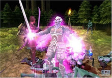 Load image into Gallery viewer, PS2 - Champions of Norrath - PlayStation 2
