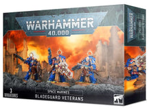 Load image into Gallery viewer, Warhammer: Space Marines - Bladeguard Veterans
