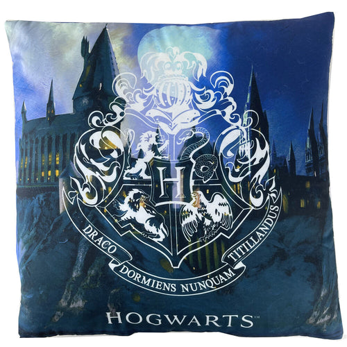 Harry Potter - Draco dormiens nunquam titillandus / cushion