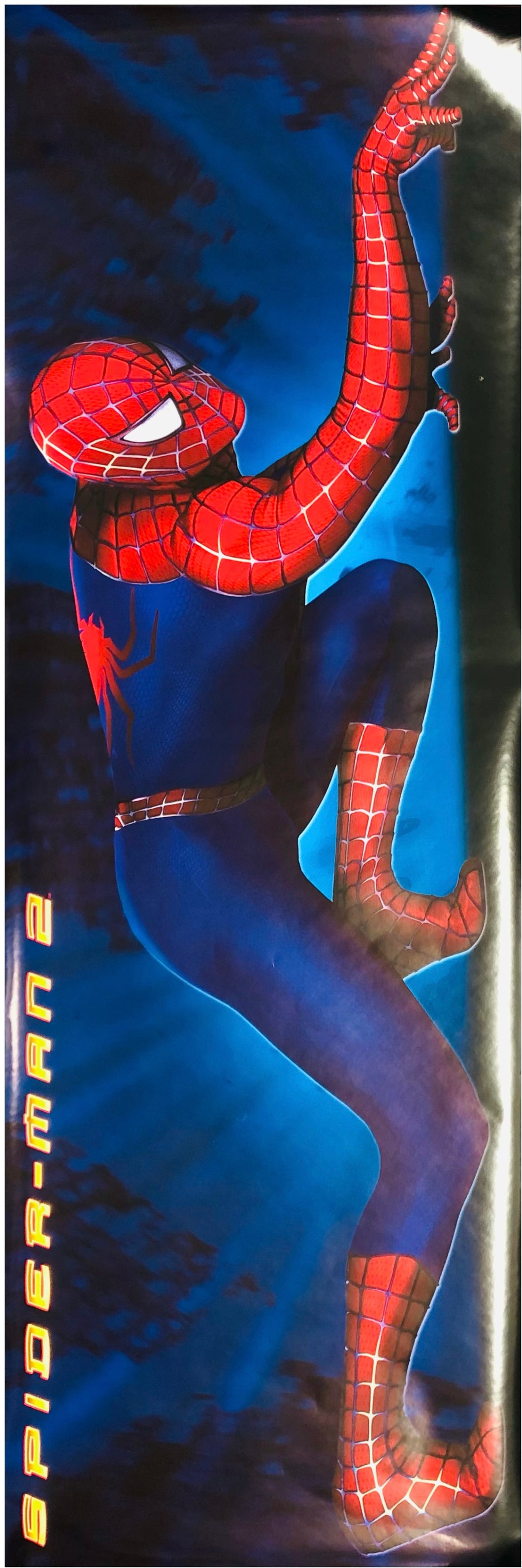 Spider-Man 2 Door / Panel Poster 53x158cm