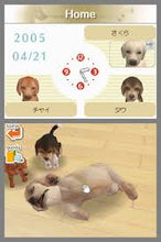 Load image into Gallery viewer, Nintendogs: Chihuahua &amp; Friends - Nintendo DS (Loose) [used]
