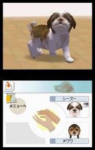 Load image into Gallery viewer, Nintendogs: Labrador &amp; Friends - Nintendo DS
